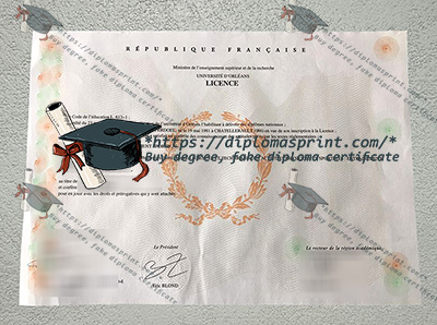 Université d'Orléans Diploma