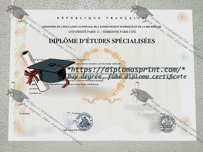 Université Paris 13 Diplôme