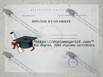Université Lyon I Diplôme