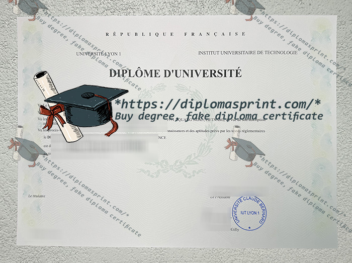 Université Lyon I Diplôme Université Lyon I Diplôme