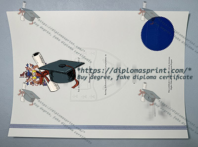 Kingston University Diploma