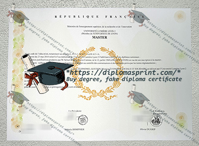 Université Lumière Lyon 2 Diplôme
