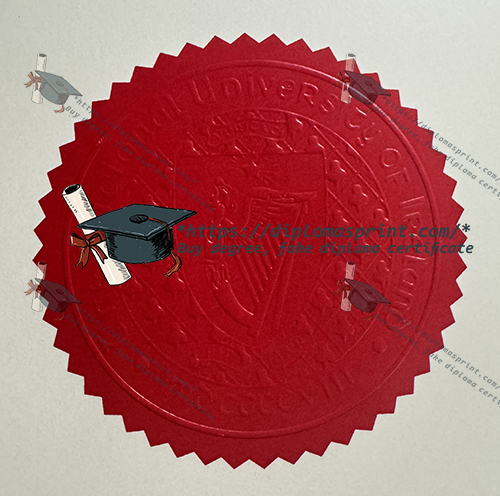 Maynooth University Diploma Seal