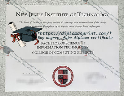 NJIT Diploma