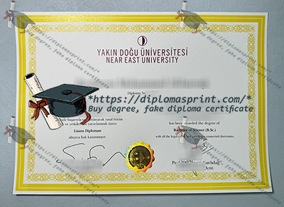Near East University Diploma