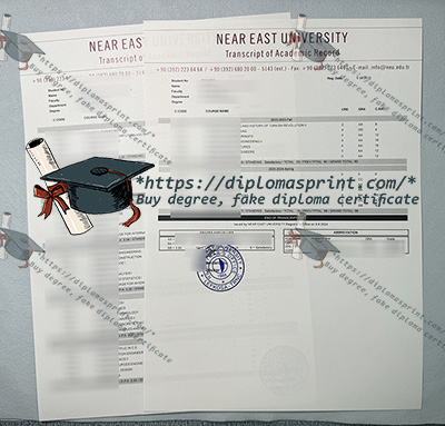 Near East University Transcript