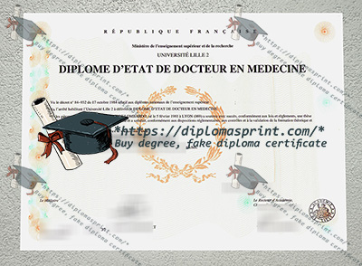ULille Diploma