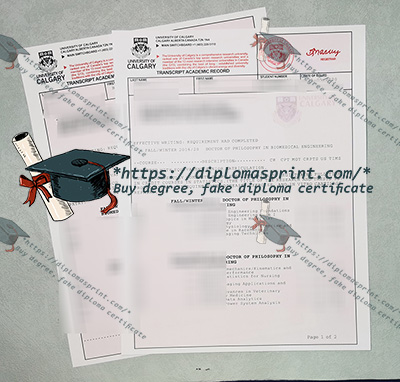 University of Calgary Transcript