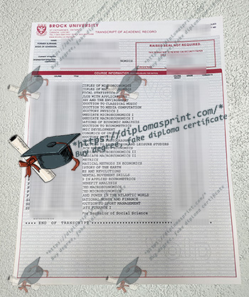 Brock University Transcript