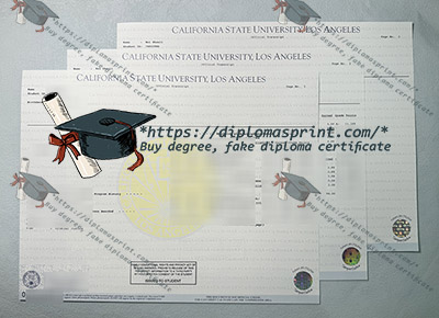 Cal State LA transcript