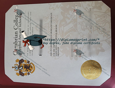 Cambrian College Diploma
