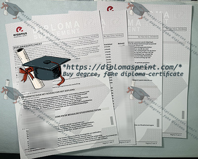EhB Transcript