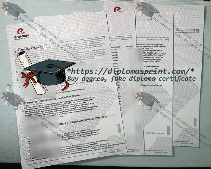 Erasmushogeschool Brussel Diploma Supplement, EhB Transcript Erasmushogeschool Brussel Diploma Supplement, EhB Transcript