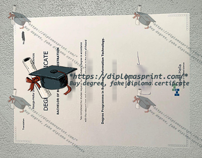 Haaga-Helia-ammattikorkeakoulu Degree Certificate