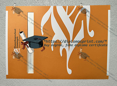 Hanze University of Applied Sciences Diploma