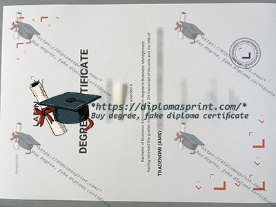Lapin AMK Degree Certificate