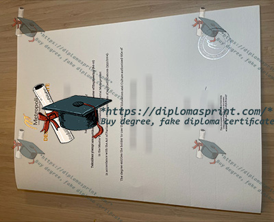 Metropolia Ammattikorkeakoulu Degree Certificate
