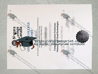 Niagara College Diploma