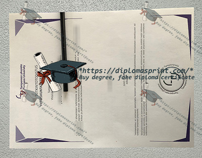 TAMK Degree Certificate