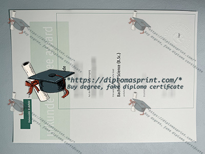 Bielefeld University Diploma