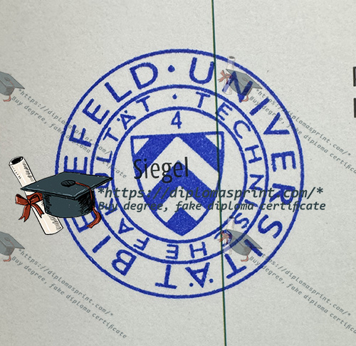 Bielefeld University Diploma