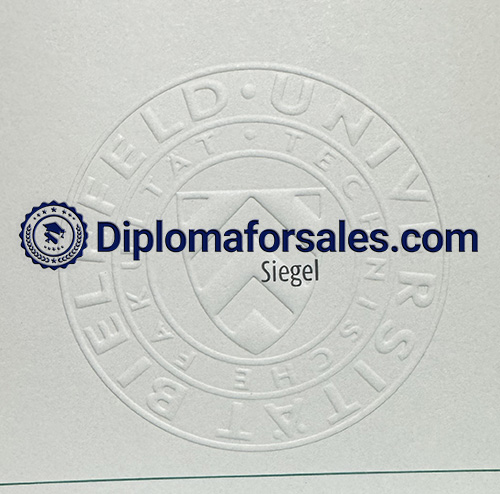 Bielefeld University Diploma