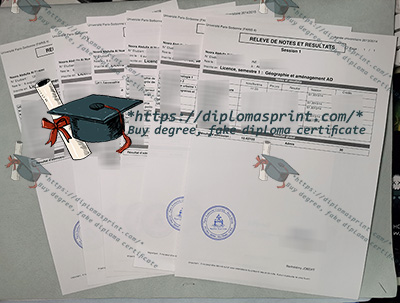 Paris-IV Transcript