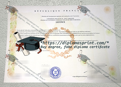 Université Toulouse III - Paul Sabatier Diploma