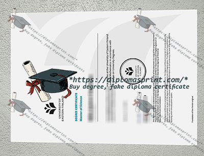 University of Eastern Finland Degree Certificate