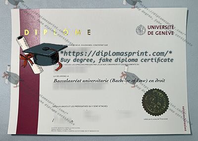 University of Geneva Diploma