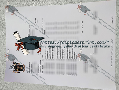 University of Salford Transcript