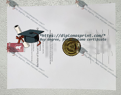 Brock University Diploma