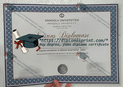 Anadolu University Diploma