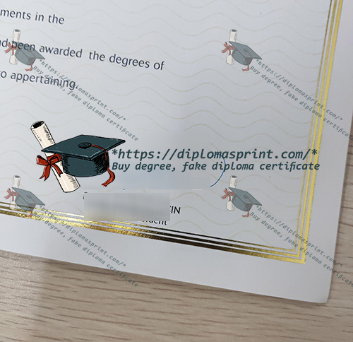 BAU Diploma