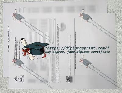 Bahçeşehir University Transcript