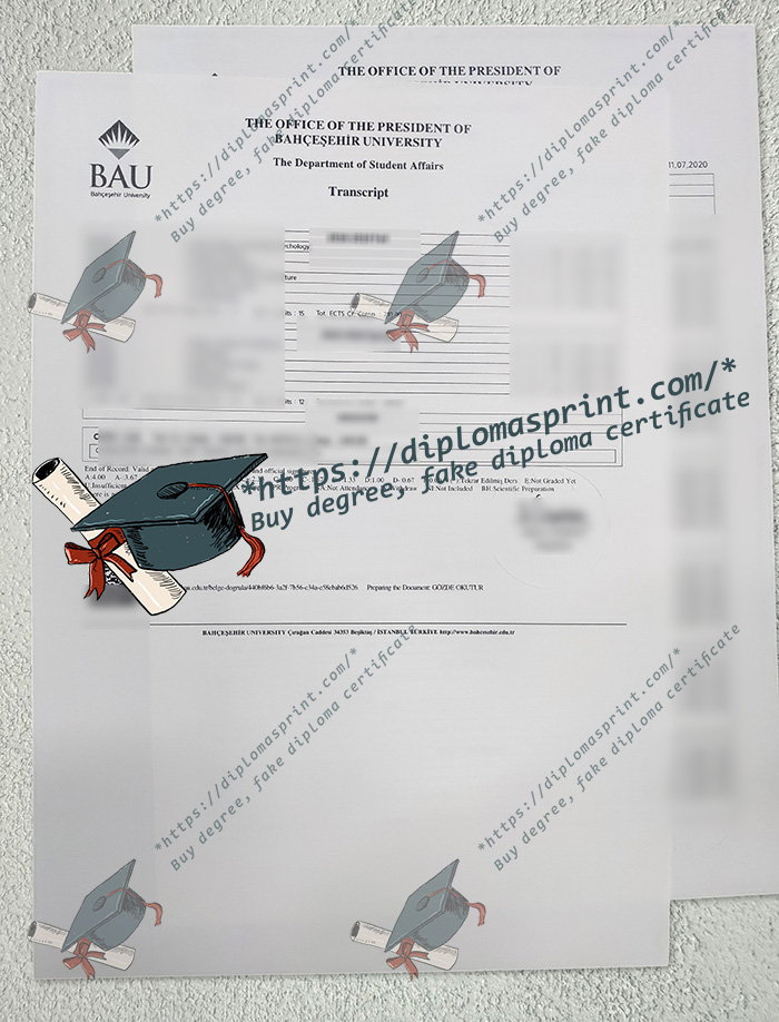 Bahçeşehir University Transcript, BAU Transcript