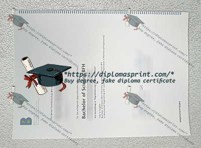 Bern University of Applied Sciences Diploma
