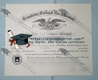 Boston College Diploma