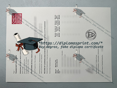 Cardiff University Transcript