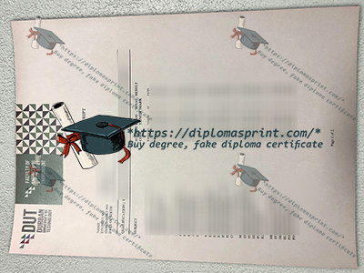 DUT Transcript