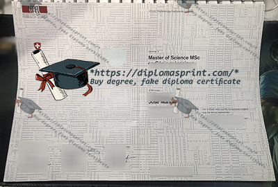 EPFL Diploma
