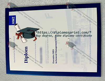 Hochschule für Wirtschaft Zürich Diplom