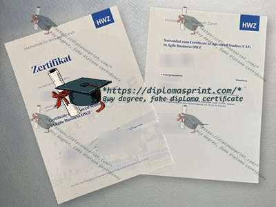 Hochschule für Wirtschaft Zürich Zertifikat
