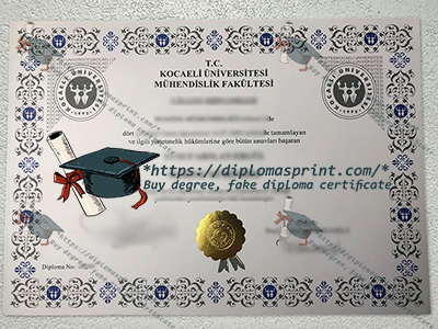 Kocaeli University Diploma