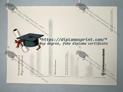 Linnaeus University Degree Certificate