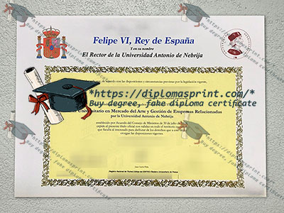 Universidad Antonio de Nebrija Diploma