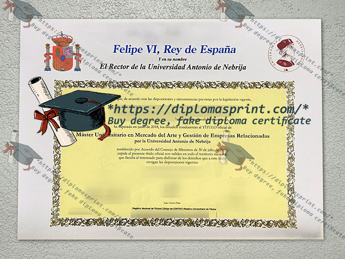 Universidad Antonio de Nebrija Diploma Universidad Antonio de Nebrija Diploma