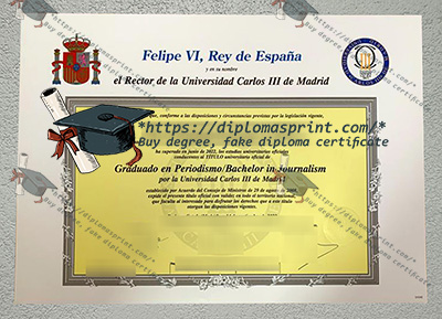 Charles III University of Madrid Diploma
