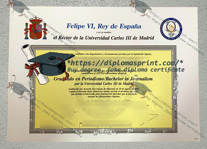 Charles III University of Madrid Diploma, UC3M Diploma Charles III University of Madrid Diploma, UC3M Diploma