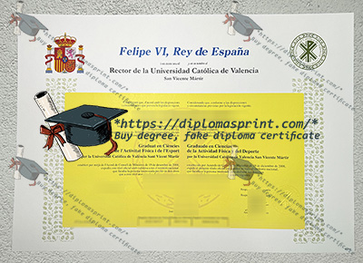 Universidad Católica de Valencia San Vicente Mártir Diploma
